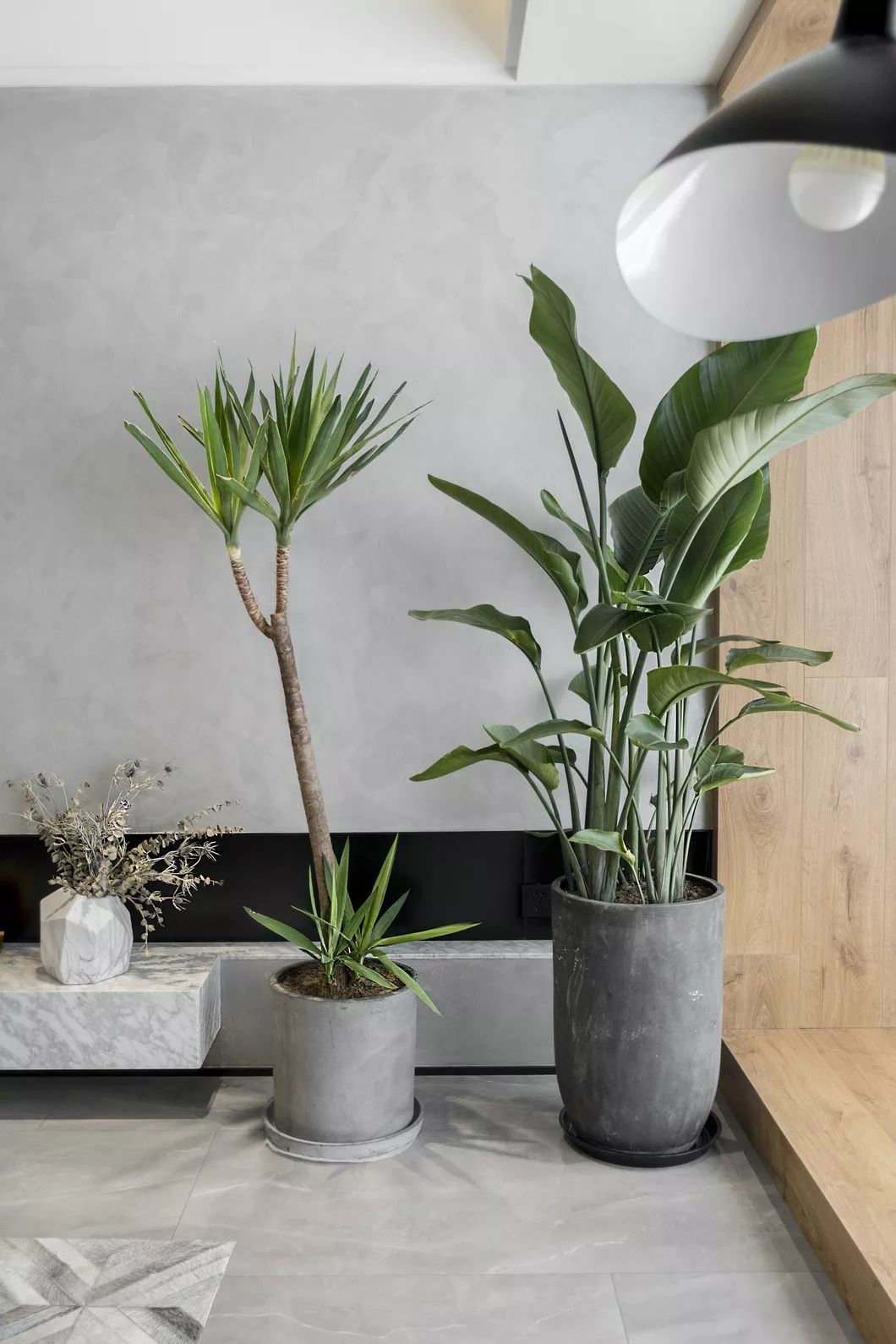 网红pu水泥墙,网红墙真实照片