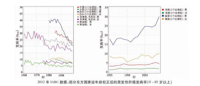 原发性肝癌最终诊断与疗效观察,全国原发性肝癌发病率西藏