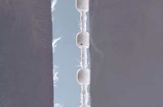 有了它再也不担心熬夜,有了它不愁吃不愁穿