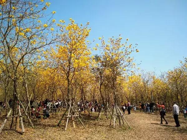 茂名!你究竟还要被嘲笑多久?