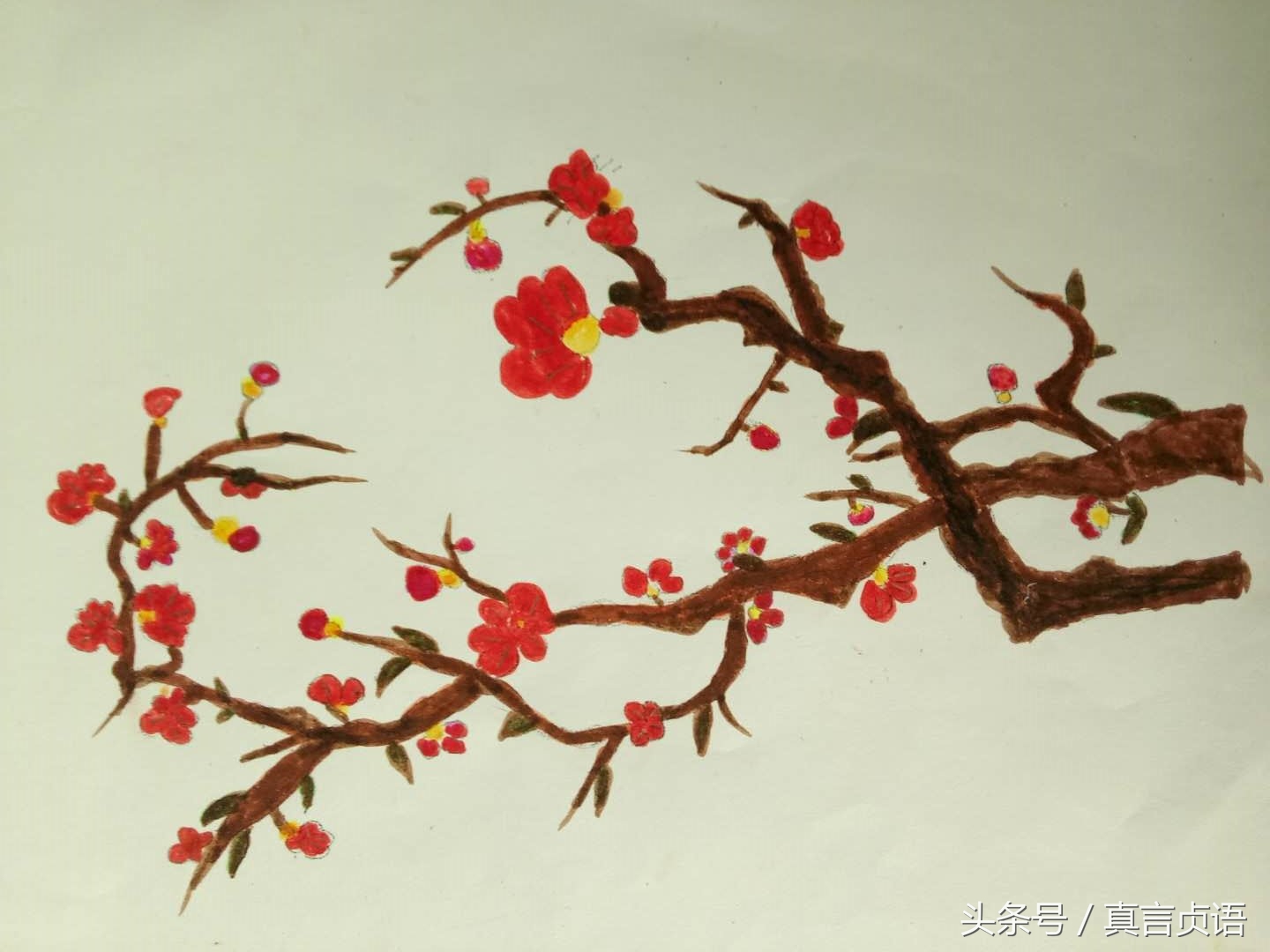 曾凯歌原创诗歌散文：傲梅