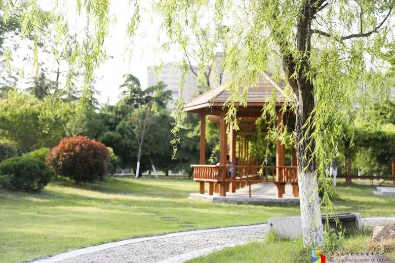 青岛港湾职业学院报考条件,青岛高考志愿填报推荐