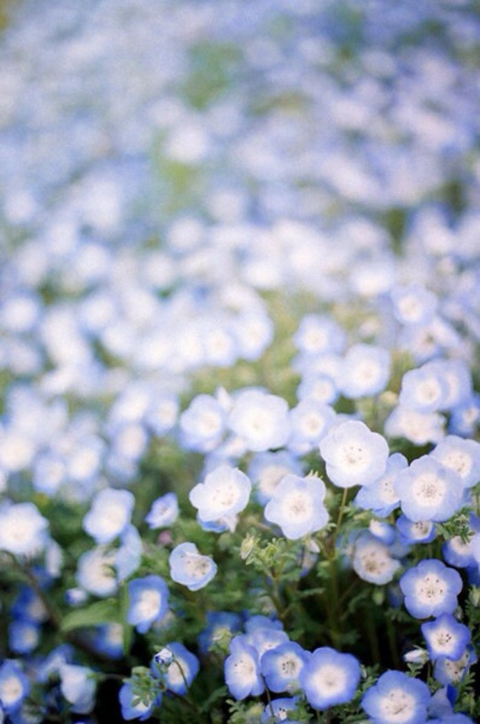 想要爱一个人奋不顾身可能有点难,想要爱一个人就要有失去的勇气