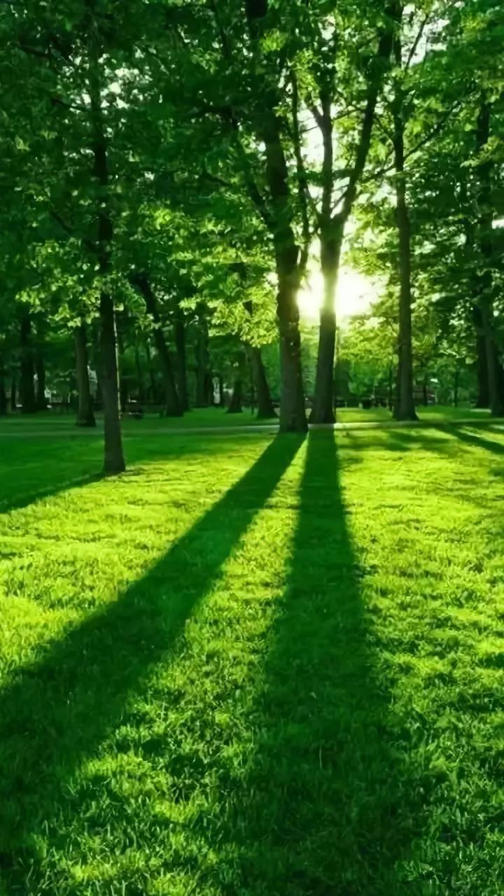 微信聊天护眼背景图高清大图,护眼背景图微信聊天背景