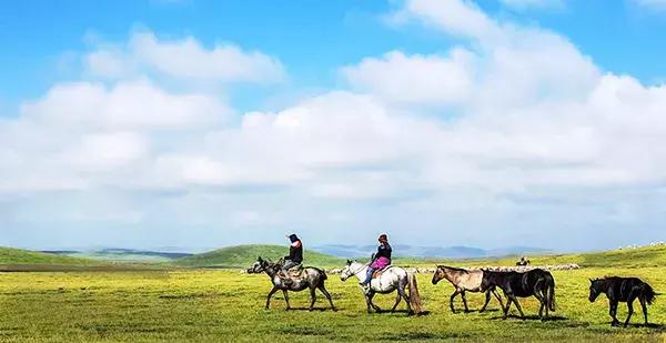 中国四川旅游看世界级的美景和可爱大熊猫,品尝当地火辣的美食!