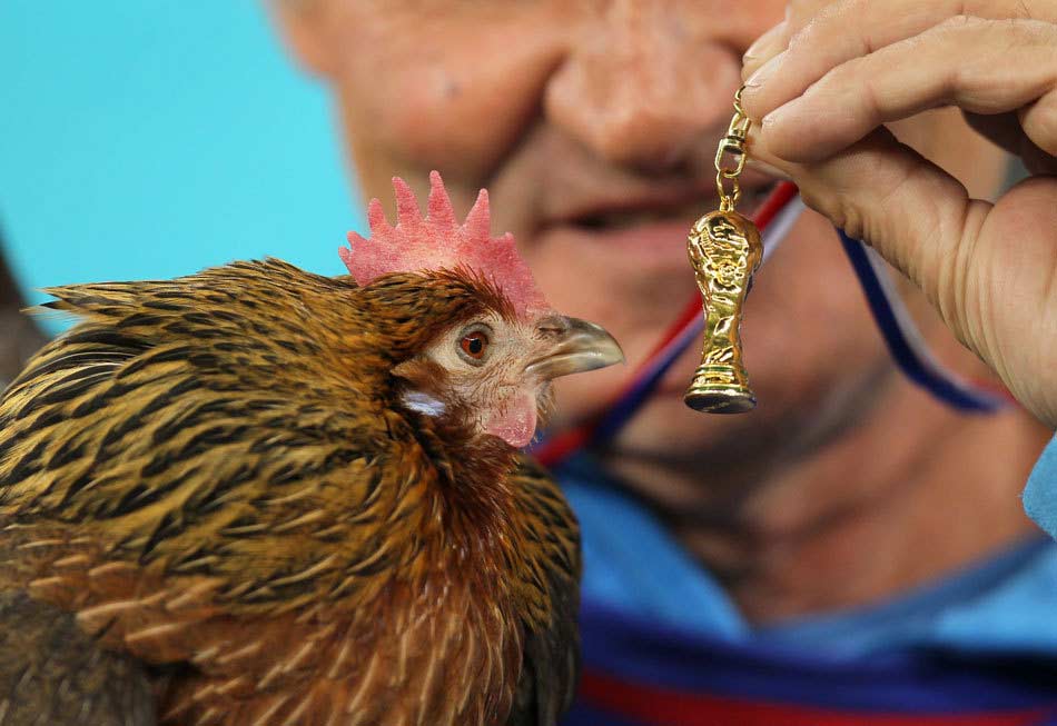 世界杯各个国家绰号,世界杯各大球队绰号缩写是什么