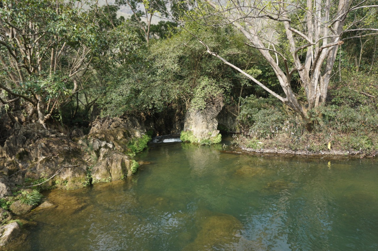 多彩贵州行——黄果树风景区之灵魂玲珑秀美“天星桥”