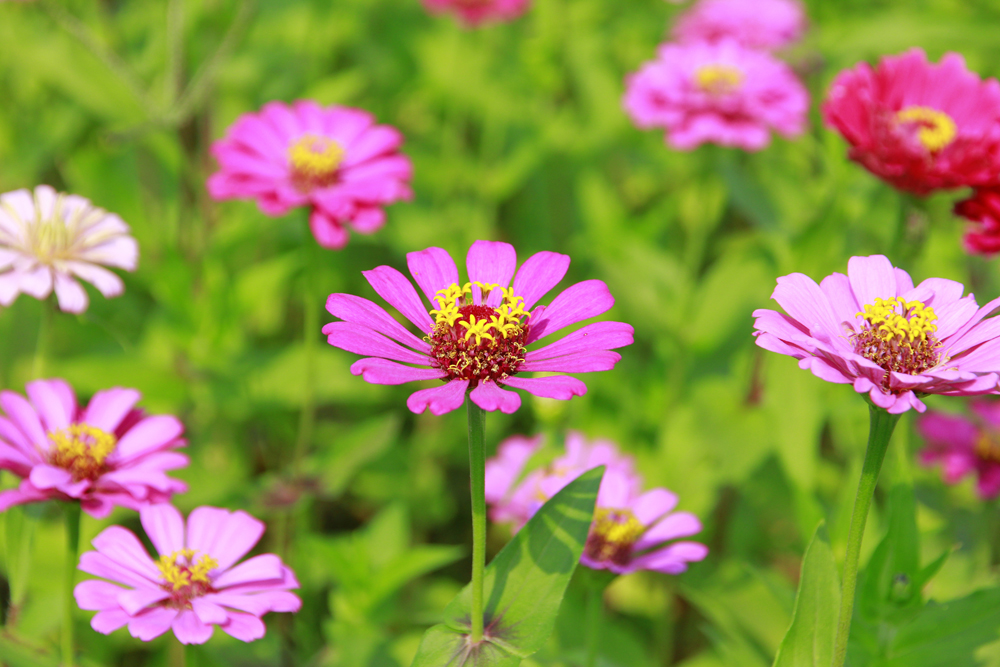 暑假带孩子逛公园,带孩子玩跳楼