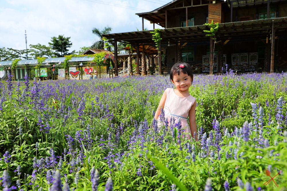 暑假带孩子逛公园,带孩子玩跳楼