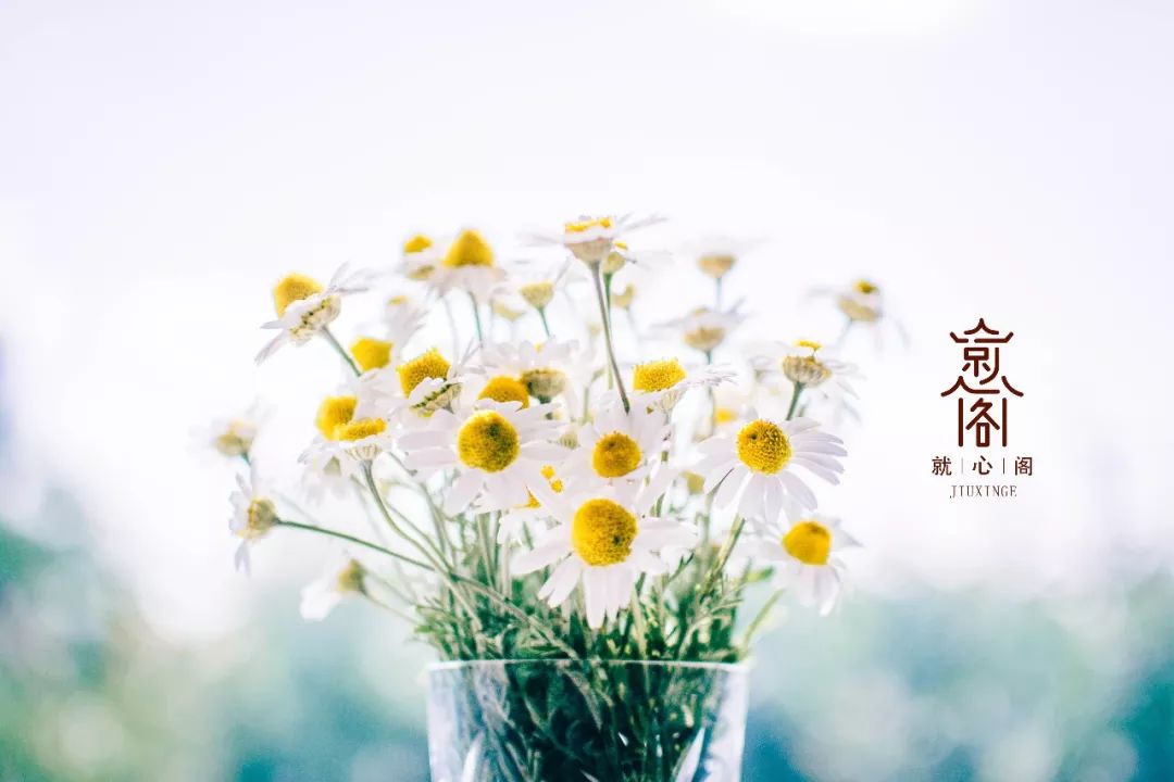 炎症与炎症反应的区别,什么叫炎症刺激