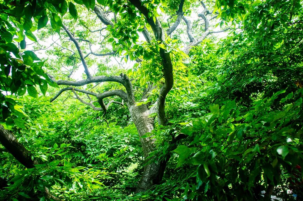 「交通生活」别去挤北戴河了！北京周边6大绝美岛屿，今年夏天一定要去一个！