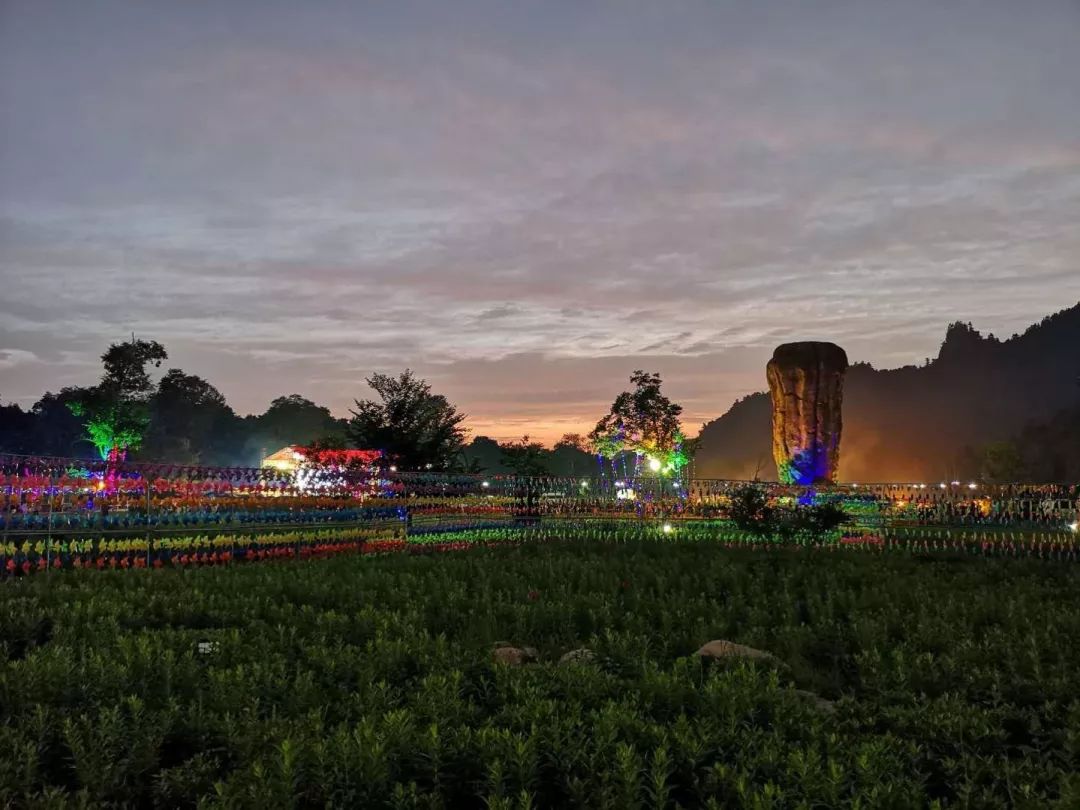 伊春露营大会直播,第二届伊春森林冰雪欢乐节开幕式