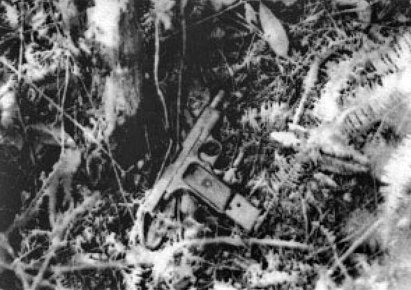 大案纪实系列大追捕,中国大案侦破实录之追捕二王纪实