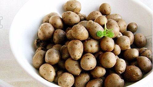 山药豆出芽长叶不爬藤,怎样盆栽山药豆