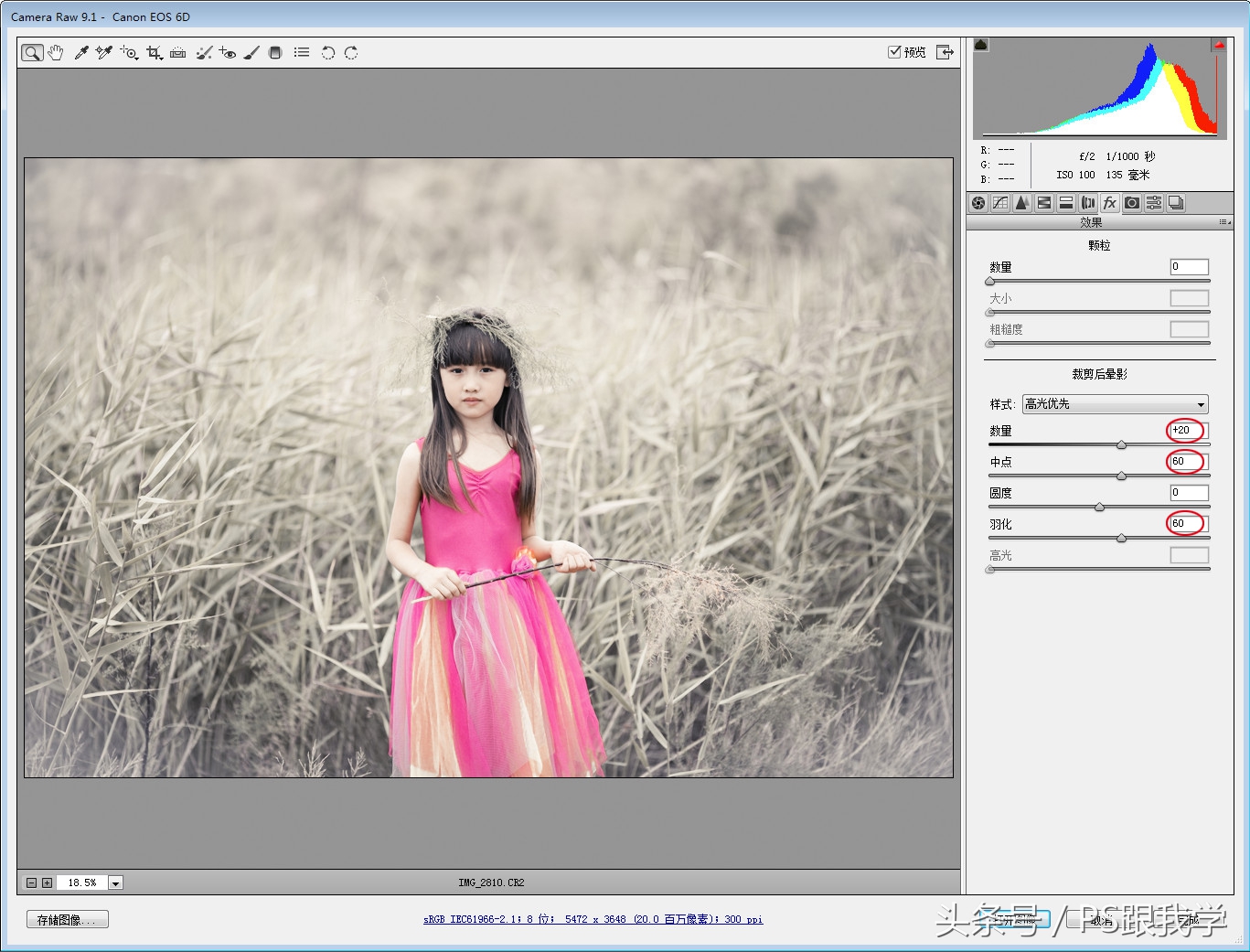 camera照片调色教程,如何用PS2018调整照片色彩