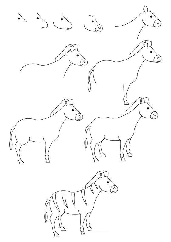 1000000个可爱动物简笔画,10000种超萌动物简笔画大全