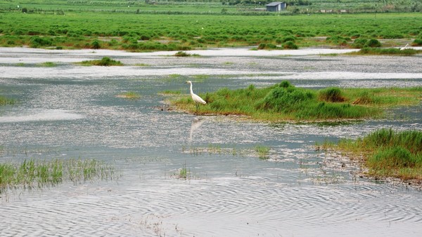 腾冲凤凰宝集泡温泉,腾冲民宿泡温泉推荐