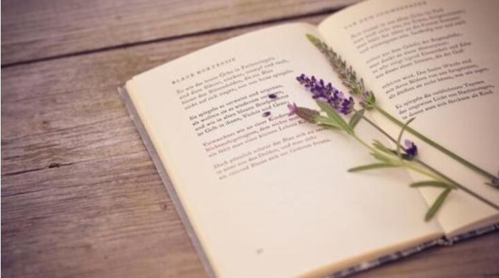 居间介绍贩毒案例,居间介绍代购毒品违法吗