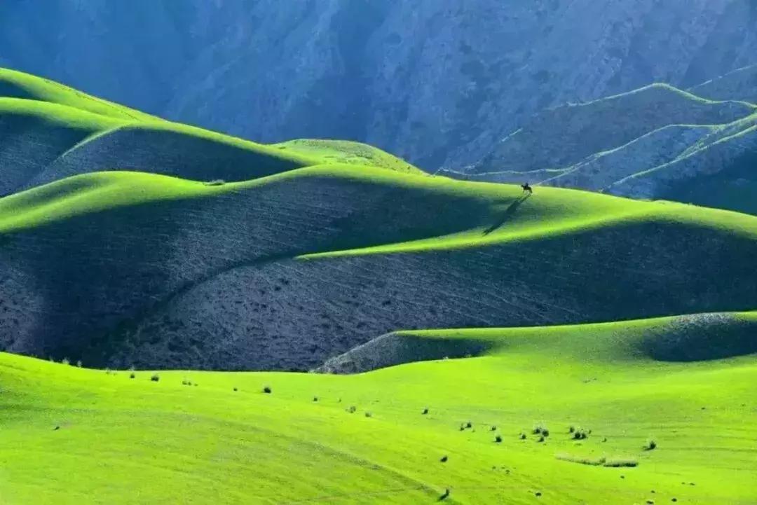 手机拍出好看的影集,手机摄影作品推荐