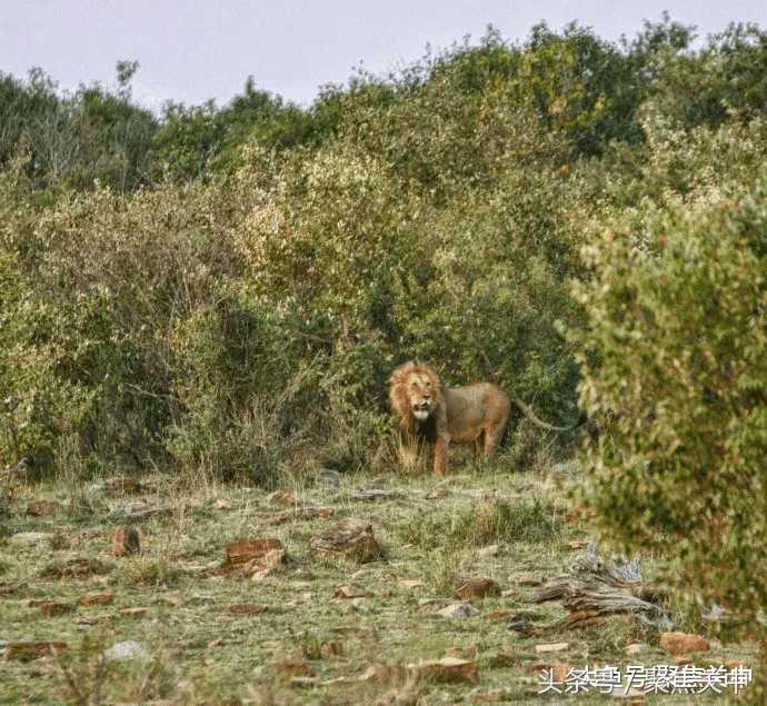 20岁姑娘一个人穷游中国,山西姑娘一个人在旅游