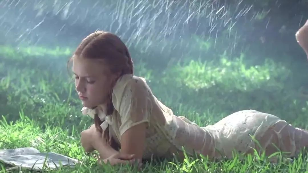 周韵许晴年轻时,许晴周韵谁漂亮