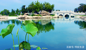 财经院校排名,辽宁财经类专升本大学都有哪些