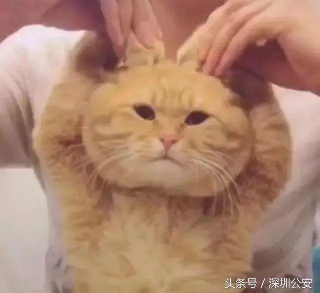 入境香港24小时可以过关吗,去香港过关罚款