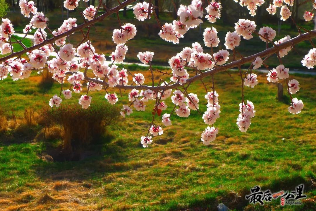 哈密好看的城市,哈密一座生态宜居之城