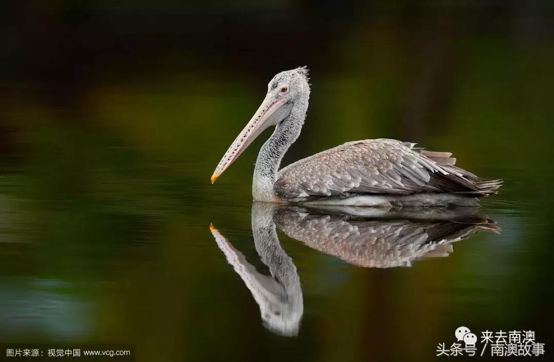 这座小岛究竟隐藏了多少秘密,一座鲜为人知的隐藏小岛