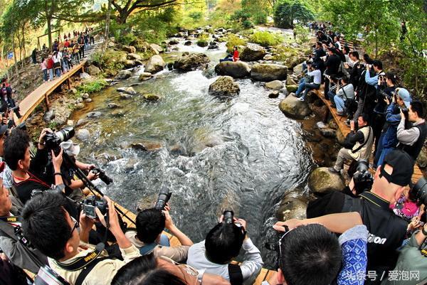广州石门国家森林公园景点,广州山谷好玩的地方