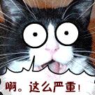 外籍华人犯法还要回国服刑吗,中国人在国外判刑后可以遣返吗