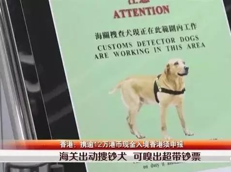 香港最新规定几样东西不可带出关,香港最新过关规定