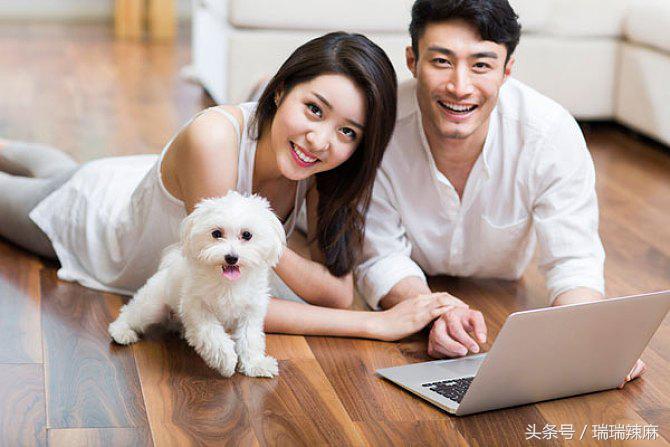 狗狗常见皮肤病治疗手册,宠物狗常见疾病