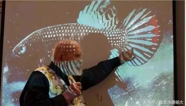 揭秘你不知道的江湖,你不知道的江湖