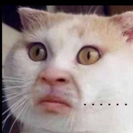 绝地求生装备大全和价格,绝地求生绝版装备价格