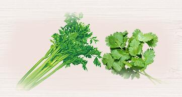 家里有蚂蚁怎么办如何快速除蚁,厨房和卫生间有蚂蚁是怎么回事