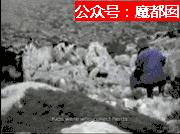 98年克罗地亚球员们经历过战争吗,战火中的克罗地亚队
