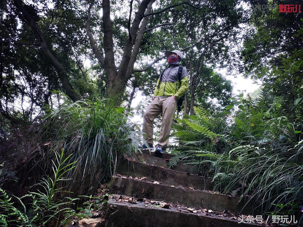 迪卡侬防晒衣测评推荐,轻薄防晒衣夏季出行无惧阳光