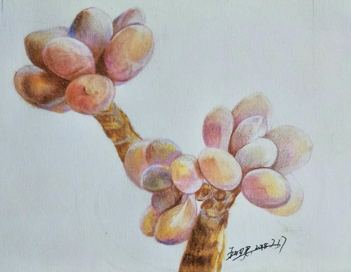 幸福原创画吧画友（7月17日）习作分享