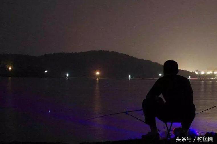 夜钓10个好处，不是你技术差，而是错过了上鱼高峰期！