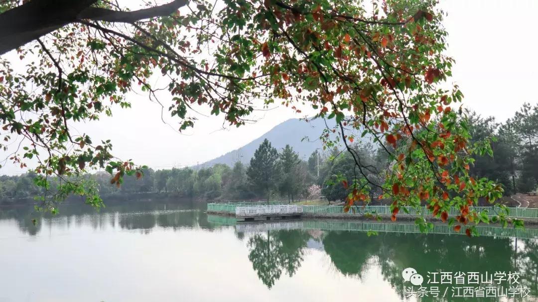 江西省西山学校2023高考成绩,江西省西山学校2018