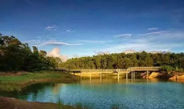 深圳免费景区一览表,深圳国际艺术博览会免费门票