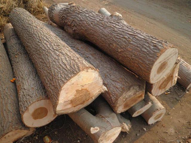 装修木工板规格,装修用的大芯板