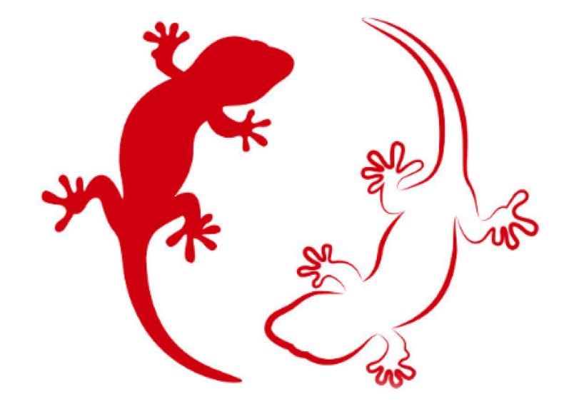 鍔ㄧ墿鍗佸ぇ璋ｈ█鐪熺浉,鍏充簬鍔ㄧ墿鍗佸ぇ璋ｈ█