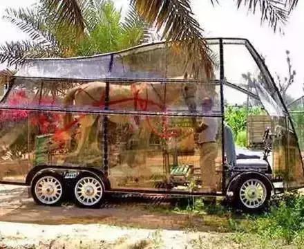 史上最奇葩泳衣,史上最奇葩的搞笑发明