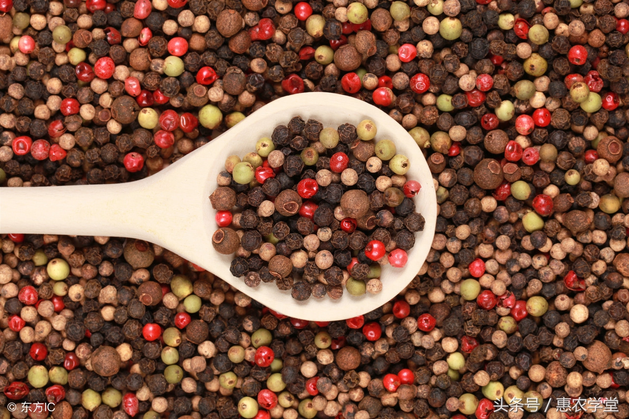 花椒种植技术和方法青花椒,用花椒籽可以种花椒吗