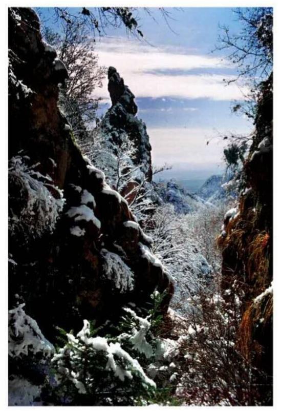 百首诗赞拉法山,百首诗作