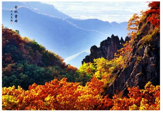 百首诗赞拉法山,百首诗作