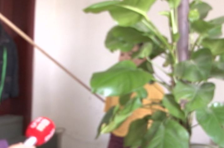 吃了减脂饼干怀孕能要吗,吃减肥的饼干会影响生育吗