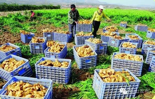 山东乳山十大名村,乳山十大名吃排行榜